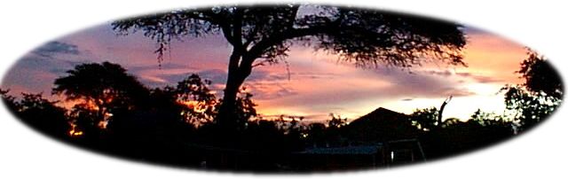 Glorious Savuti sunset, Chobe