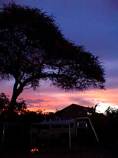 Treated to a glorious Savute sunset