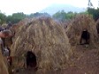 Mursi homes