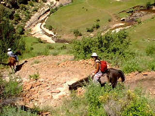 Hope the horses don't slip