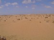 sand1t.jpg (2442 bytes)